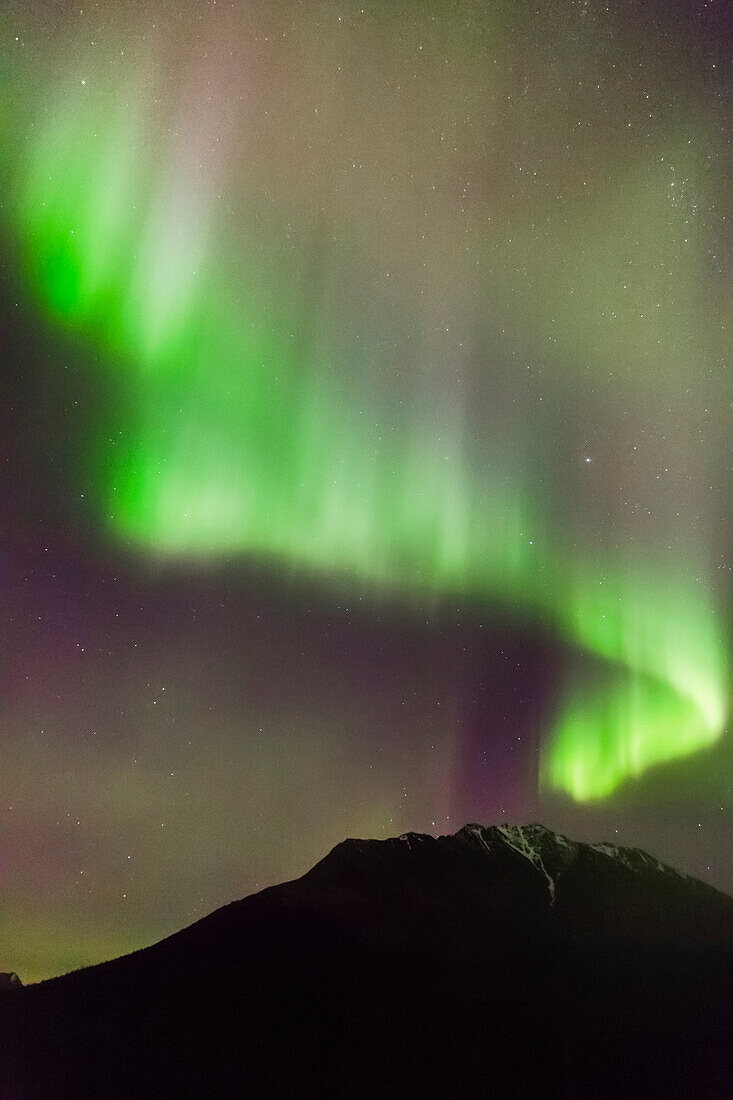 'Northern Lights in the sky above Moose Pass, with silhouetted Kenai Mountains in the foreground, Chugach National Forest; Moose Pass, Alaska, United States of America'