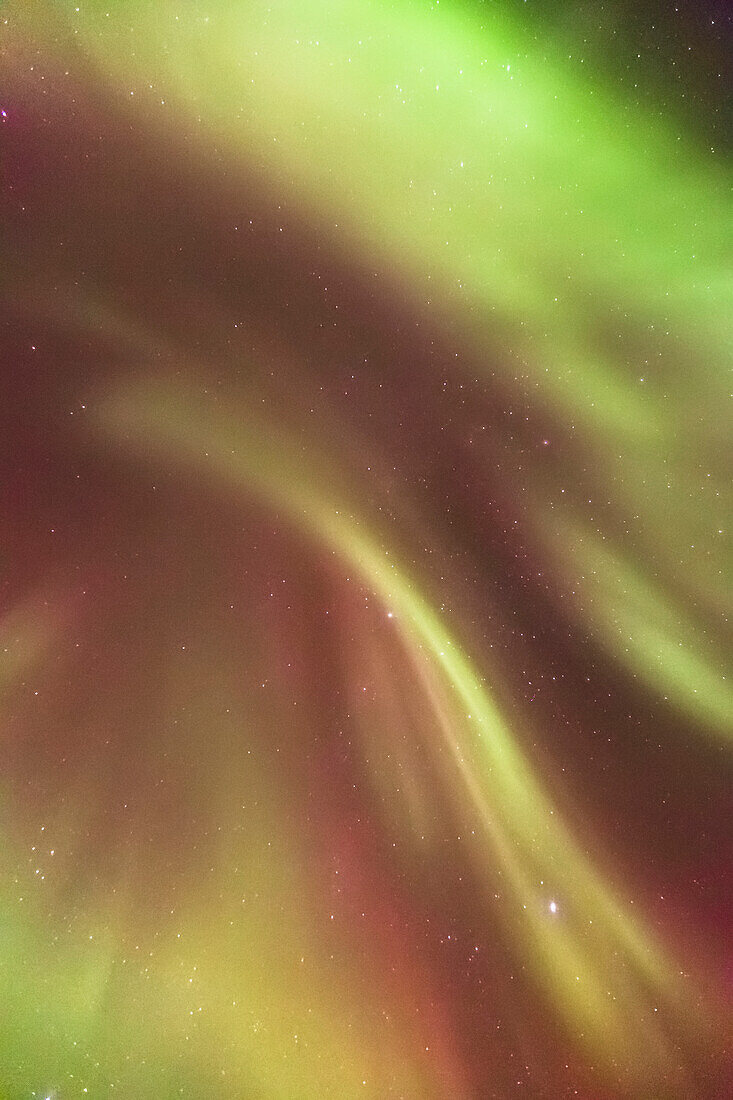 'Northern Lights in the sky above the Kenai Peninsula, Chugach National Forest; Moose Pass, Alaska, United States of America'