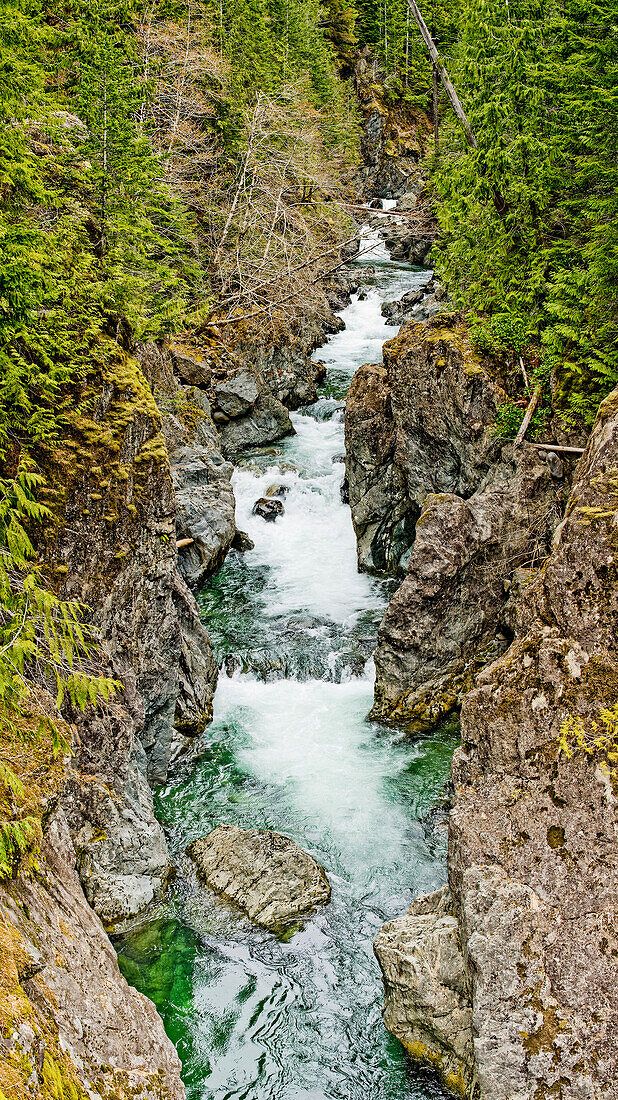 'A creek flowing through a deep canyon; British Columbia, Canada'