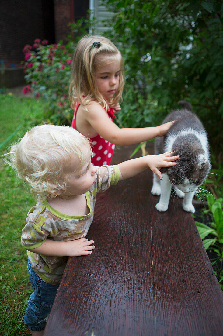 'Brother and sister pet their cat outside in the garden; Toronto, Ontario, Canada'