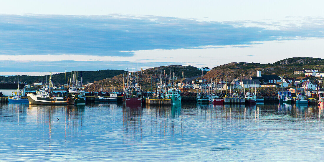'Boats in the harbour of a fishing village along the coast; Twillingate, Newfoundland and Labrador, Canada'
