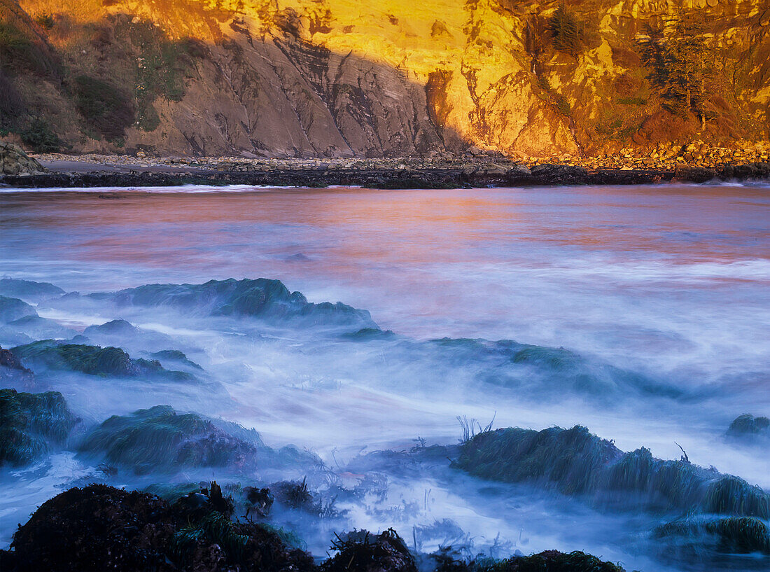 'Surf breaks at Cape Arago; Charleston, Oregon, United States of America'