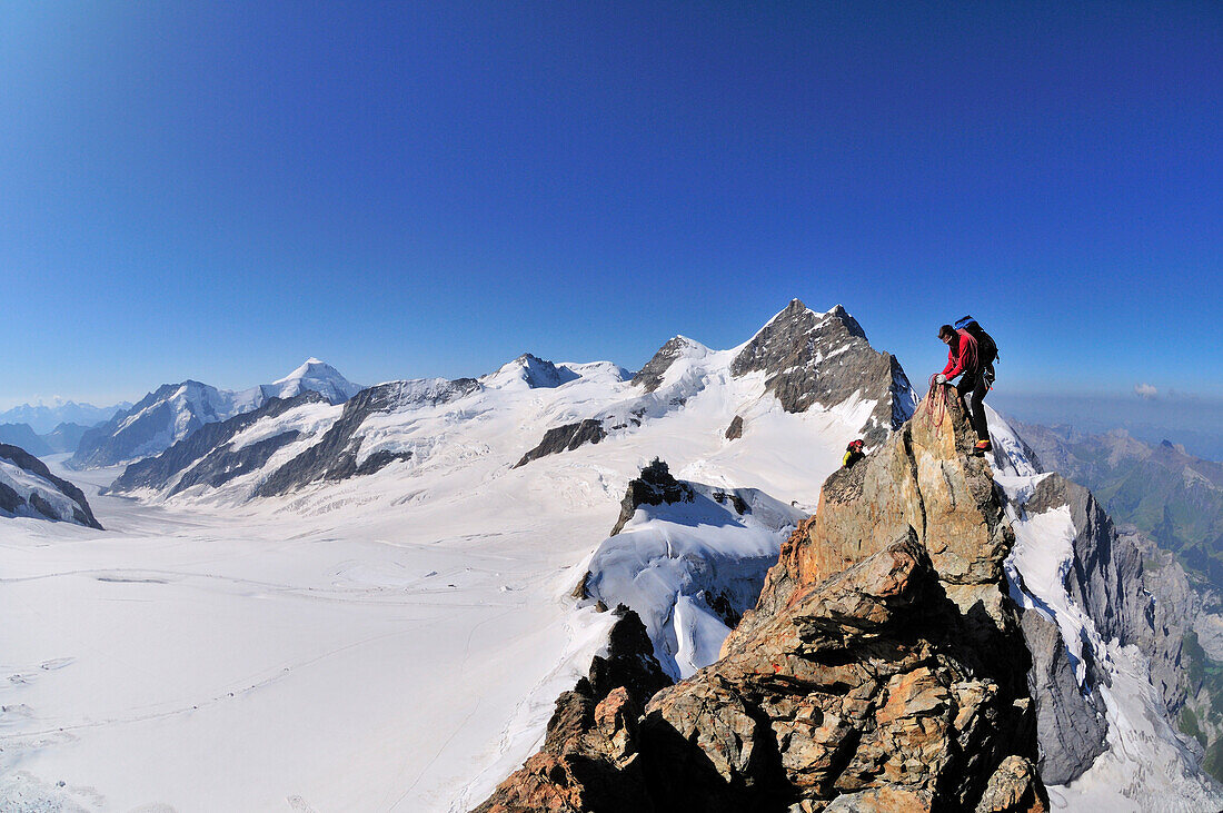 Bergsteiger am Südwestgrat des Mönch (4107 m), Jungfrau (4158 m) im Hintergrund, Berner Alpen, Schweiz