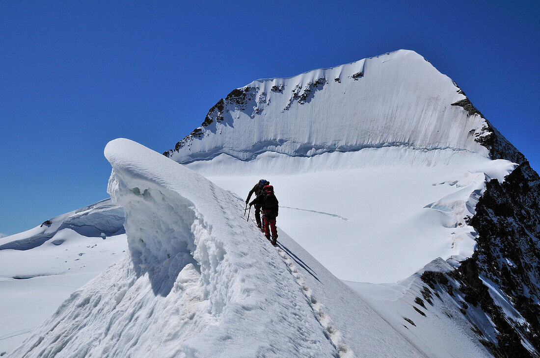 mountaineers an den Eigerjöchern, Mönch (4107 m) in the background, Bernese Alps, Switzerland