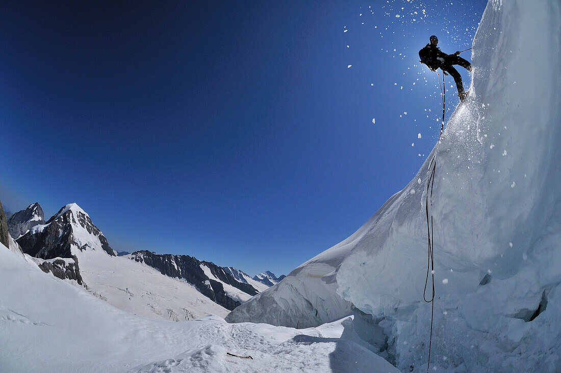 Bergsteiger seilt über die Randkluft eines Gletschers ab, Jungfrau (4158 m), Berner Alpen, Schweiz