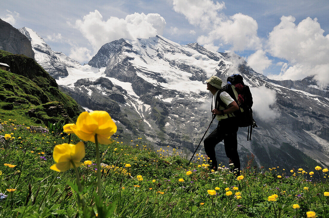Walker in front of Doldenhorn, Bernese Alps, Switzerland