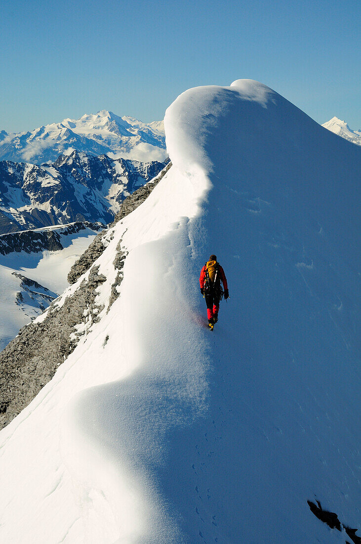Mountaineer on the ridge of Wisse Frau, Blümlisalp (3661 m), Bernese Alps, Switzerland