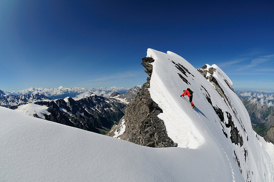 Mountaineer on the ridge of Blümlisalp, traverse of Blümlisalp (3661 m), Bernese Alps, Switzerland