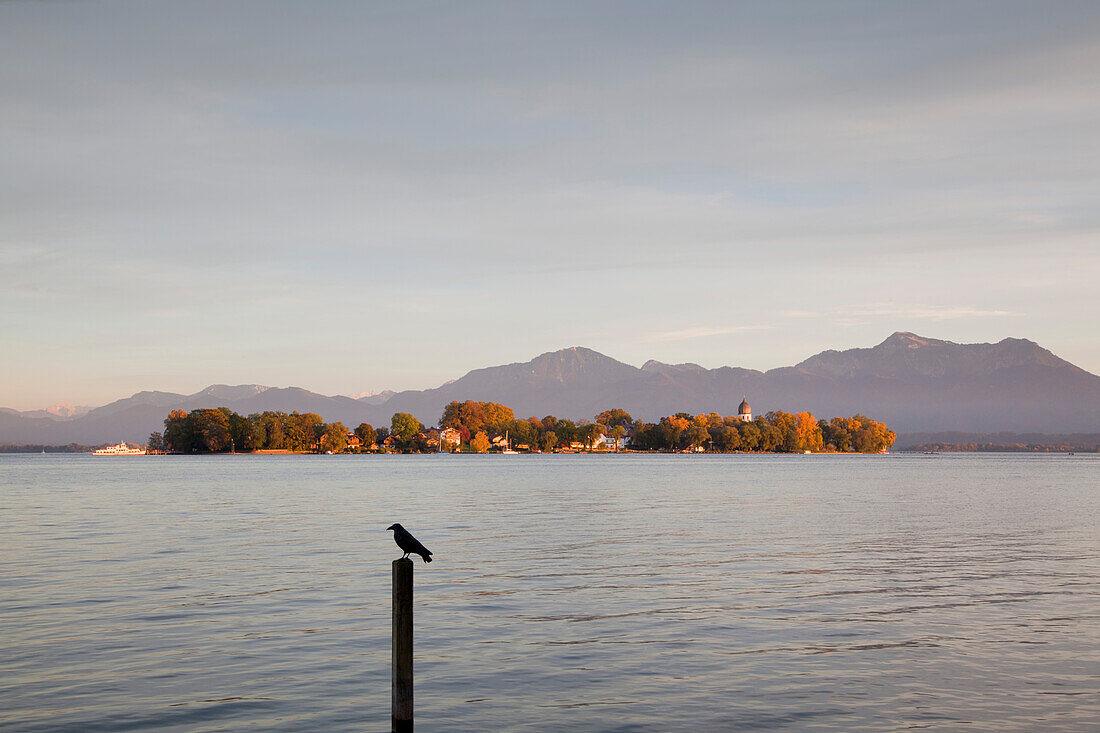 Blick über den Chiemsee zur Fraueninsel, bei Gstadt, Chiemsee, Chiemgau, Bayern, Deutschland