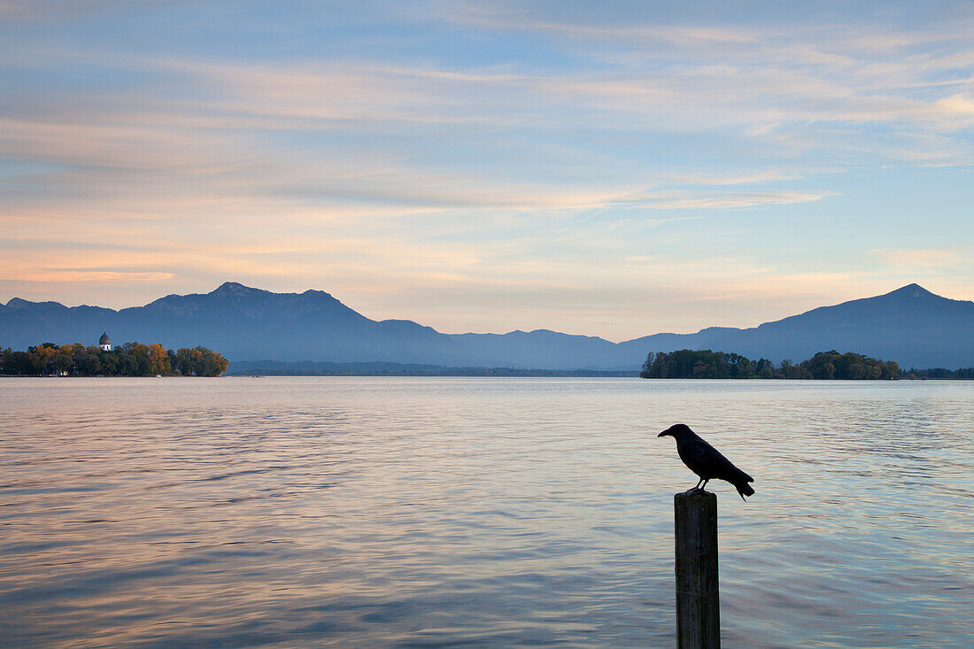 Blick über den Chiemsee zur Fraueninsel, bei Gstadt, Chiemsee, Chiemgau, Bayern, Deutschland