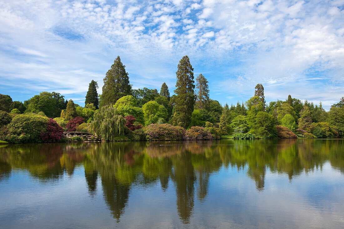 Blick über den See, Sheffield Park Garden, East Sussex, Großbritannien