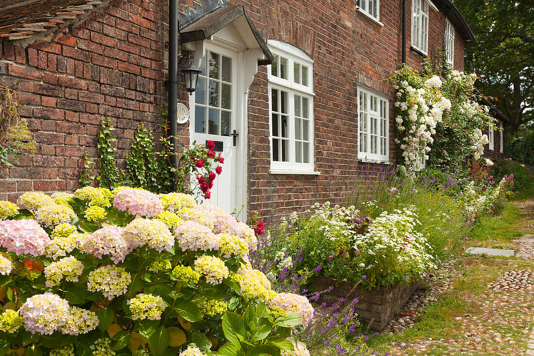 Flowers at the entrance of a house in Traders Passage, Rye, East Sussex, Great Britain