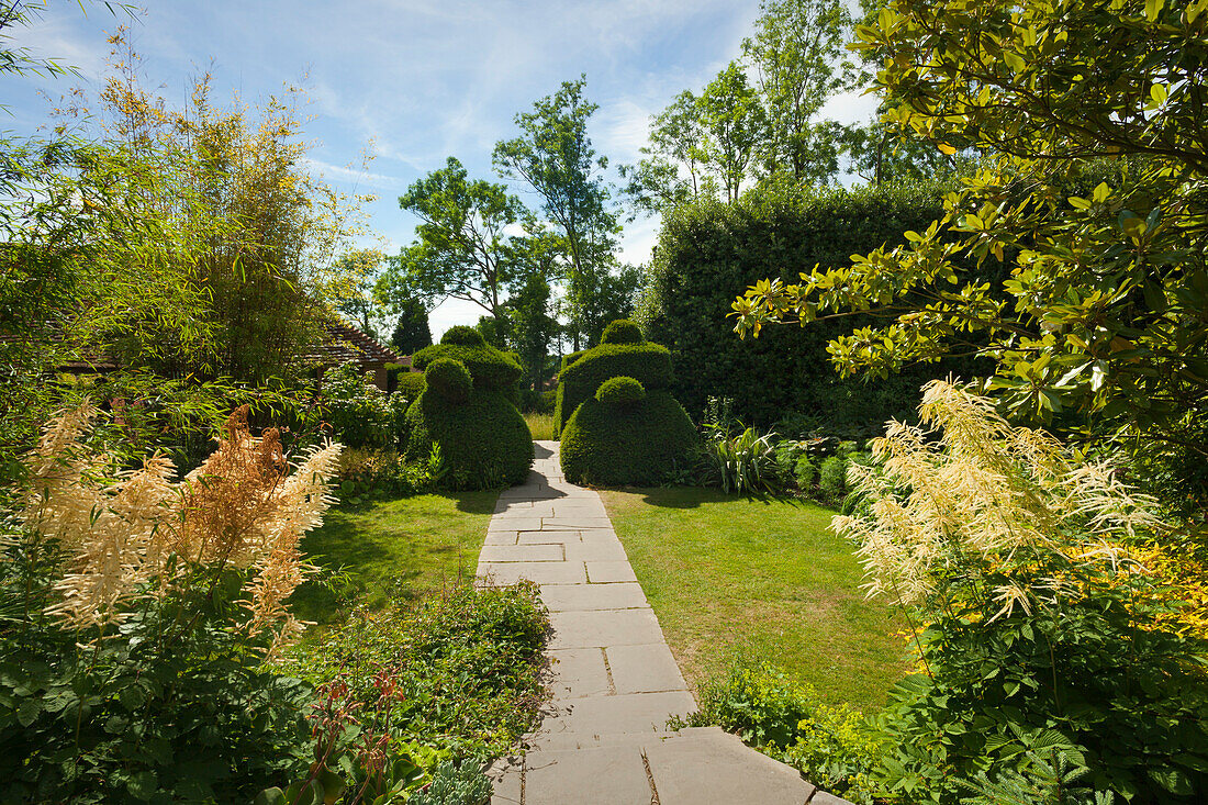 Beschnittene Eiben im Topiary Lawn, Great Dixter Gardens, Northiam, East Sussex, Großbritannien