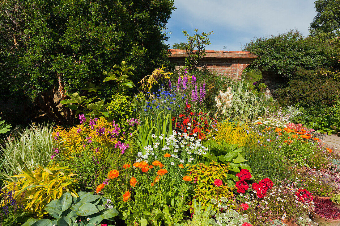 Wall Garden, Great Dixter Gardens, Northiam, East Sussex, Großbritannien