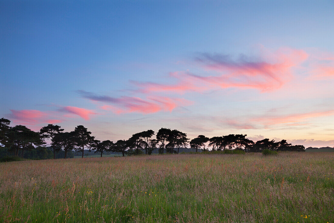 Landscape near Uckfield, Wealden, East Sussex, Great Britain