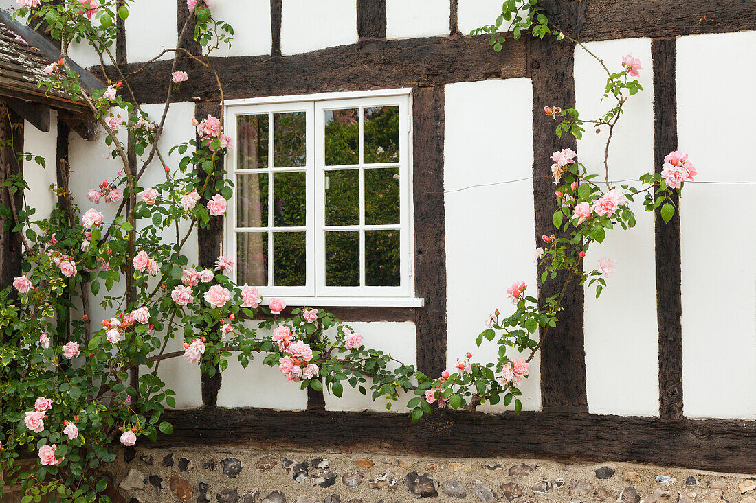 Blumenschmuck an einem Haus, Rodmell, East Sussex, Großbritannien