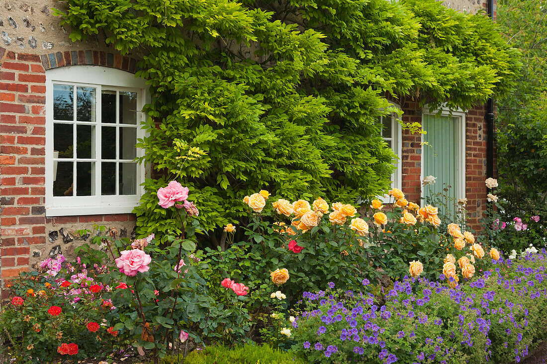 Blumenschmuck an einem Haus, Rodmell, East Sussex, Großbritannien