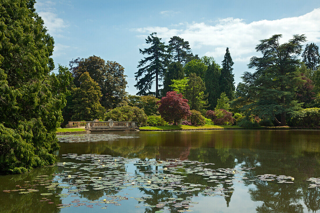 Blick über den Ten Foot Pond, Sheffield Park Garden, East Sussex, Großbritannien