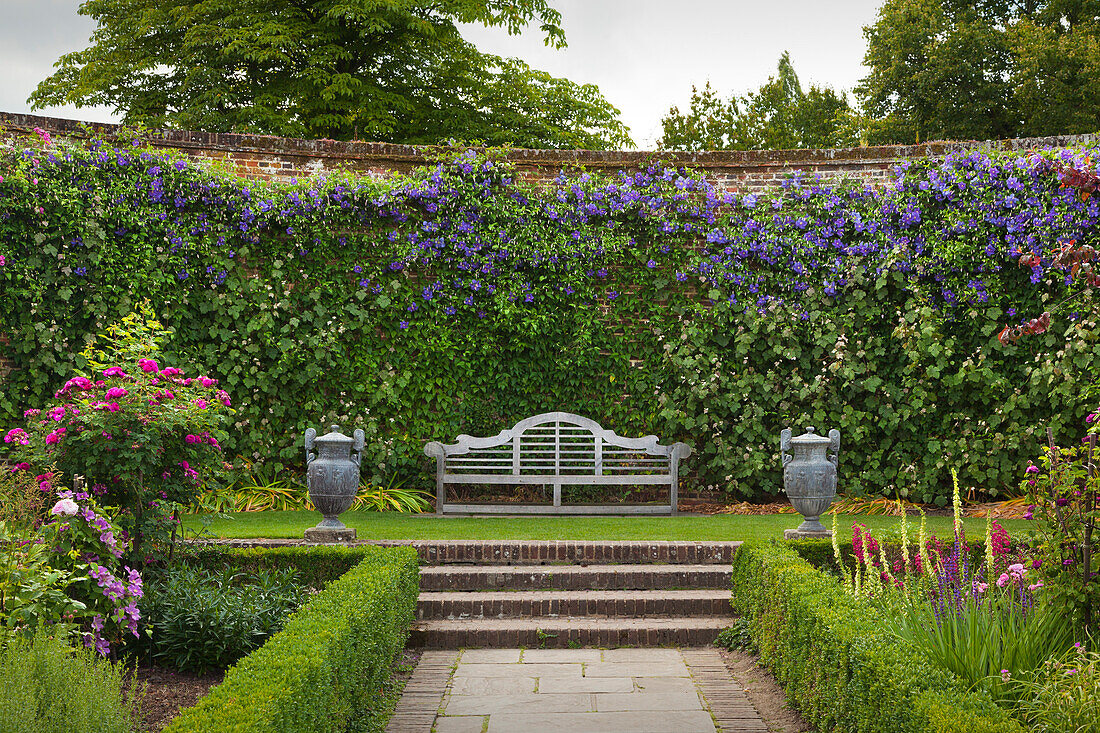 Bank mit Clematis im Rose Garden, Sissinghurst Castle Gardens, Kent, Großbritannien