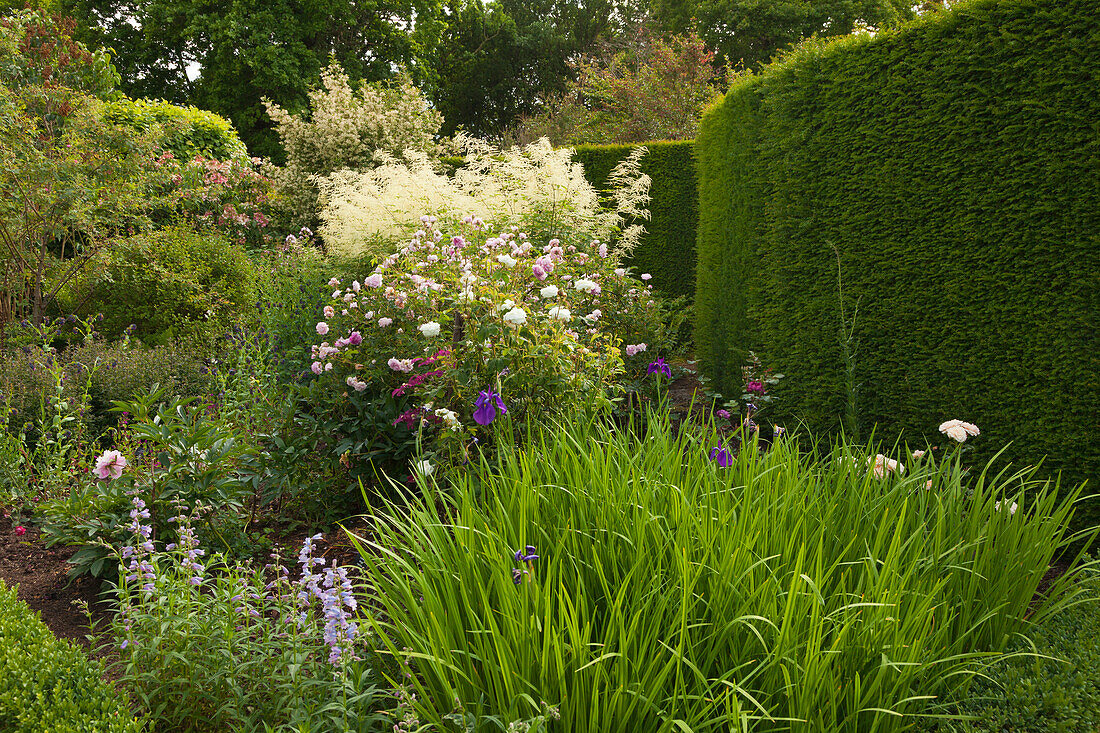 Rose Garden, Sissinghurst Castle Gardens, Kent, Great Britain