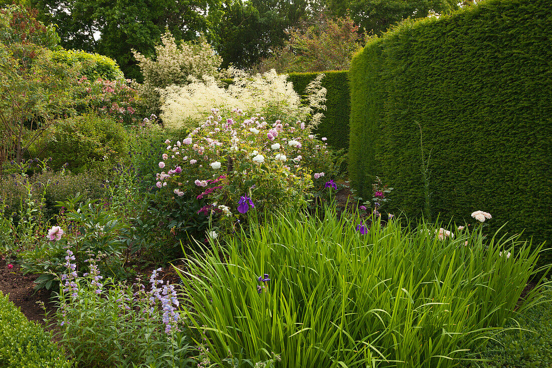 Rose Garden, Sissinghurst Castle Gardens, Kent, Großbritannien