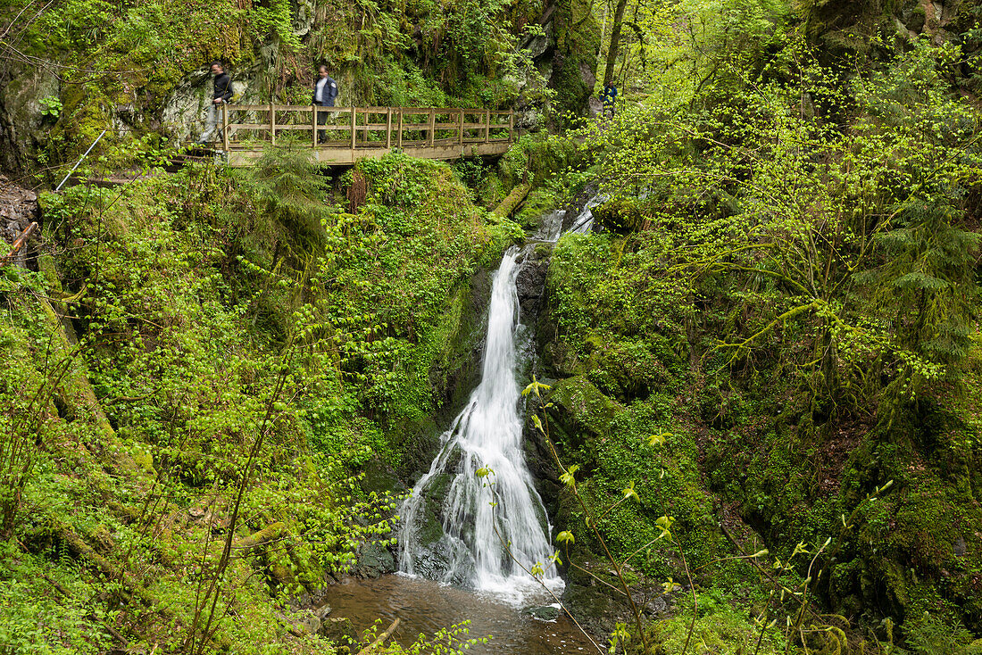 Lotenbachklamm, Wutachschlucht, bei Bonndorf, Schwarzwald, Baden-Württemberg, Deutschland