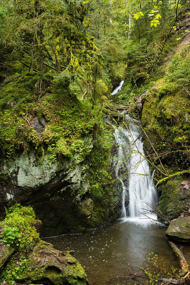 Lotenbachklamm, Wutachschlucht, near Bonndorf,  Black Forest, Baden-Wuerttemberg, Germany