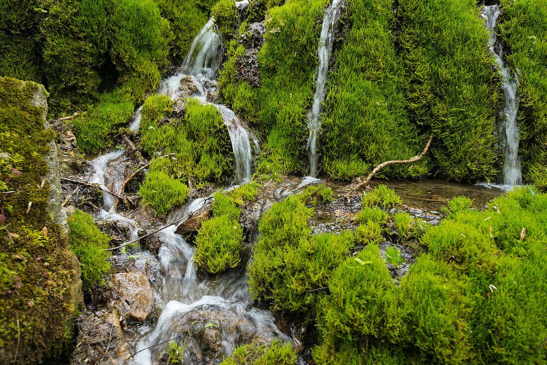 Wutachschlucht, bei Bonndorf, Schwarzwald, Baden-Württemberg, Deutschland