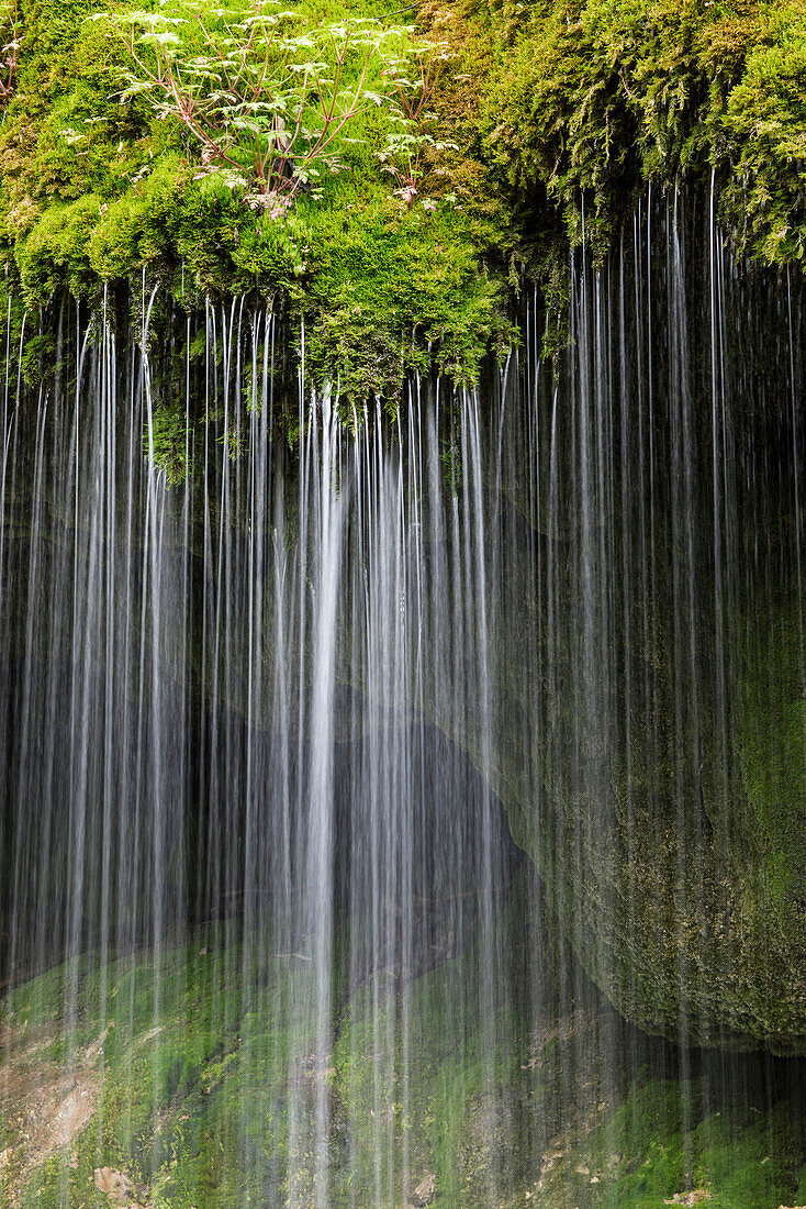 Waterfall in the Wutachschlucht, near Bonndorf,  Black Forest, Baden-Wuerttemberg, Germany