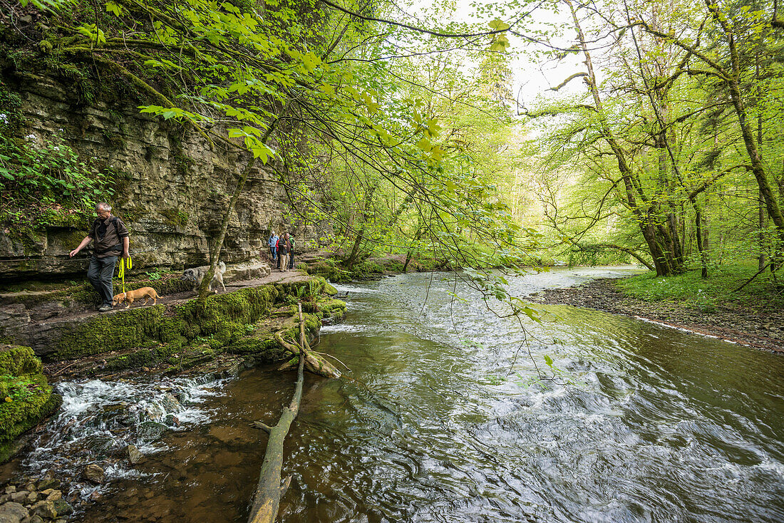 Wutachschlucht, near Bonndorf,  Black Forest, Baden-Wuerttemberg, Germany