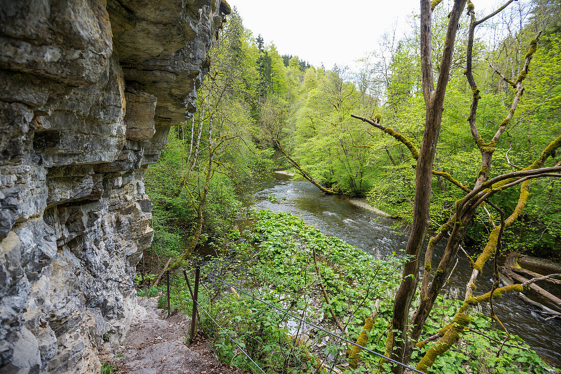 Wutachschlucht, bei Bonndorf, Schwarzwald, Baden-Württemberg, Deutschland