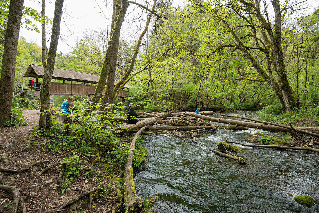 Wutachschlucht, bei Bonndorf, Schwarzwald, Baden-Württemberg, Deutschland