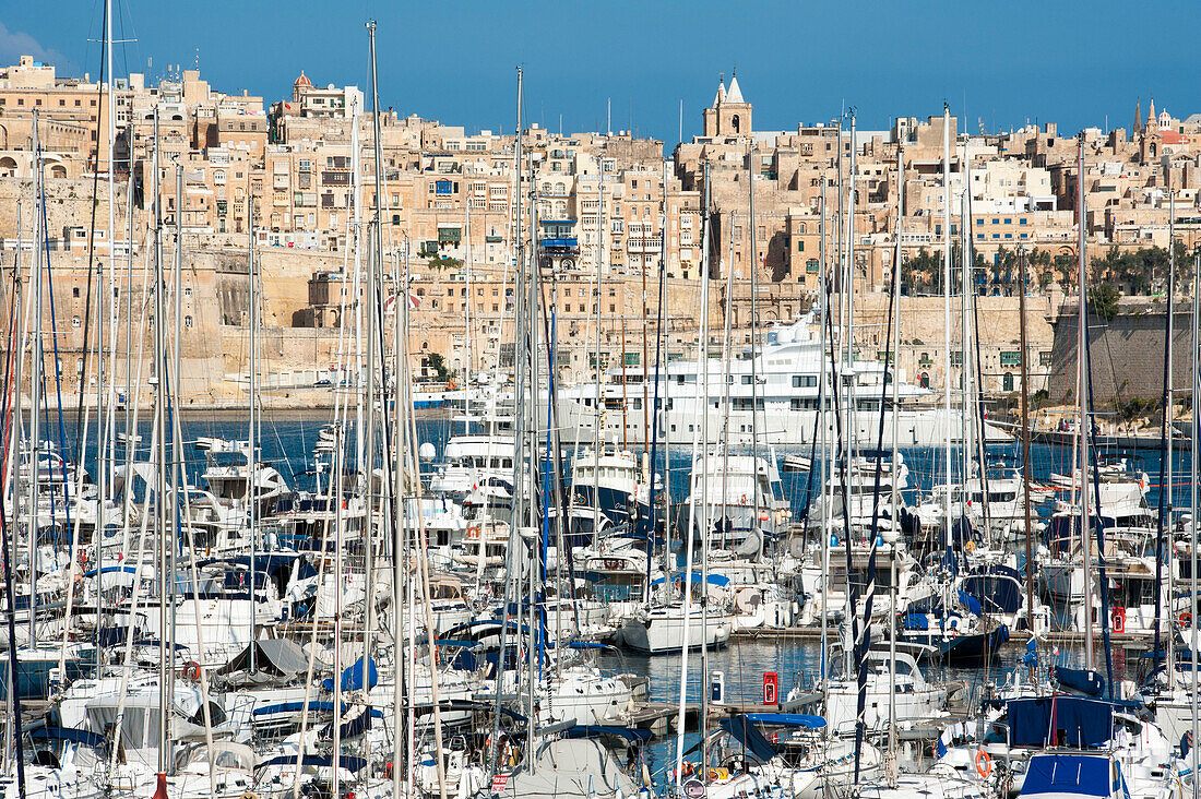 Sailboats in marina with old town in background, Valletta, Malta