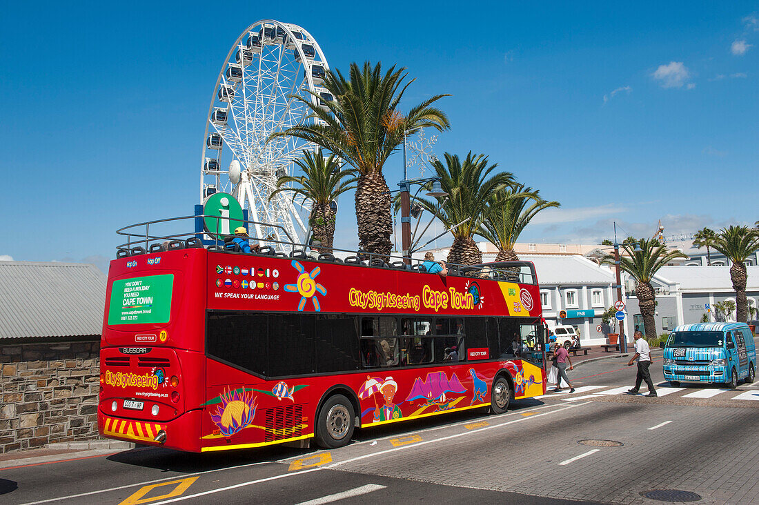 Stadtrundfahrtbus, Riesenrad im Hintergrund, Waterfront, Kapstadt, Westkap, Südafrika