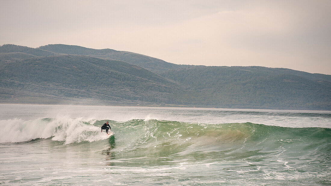Surfer reitet auf Welle in der Great Taylor Bay auf Bruny Island, Großraum Hobart, Tasmanien, Australien, Pazifik