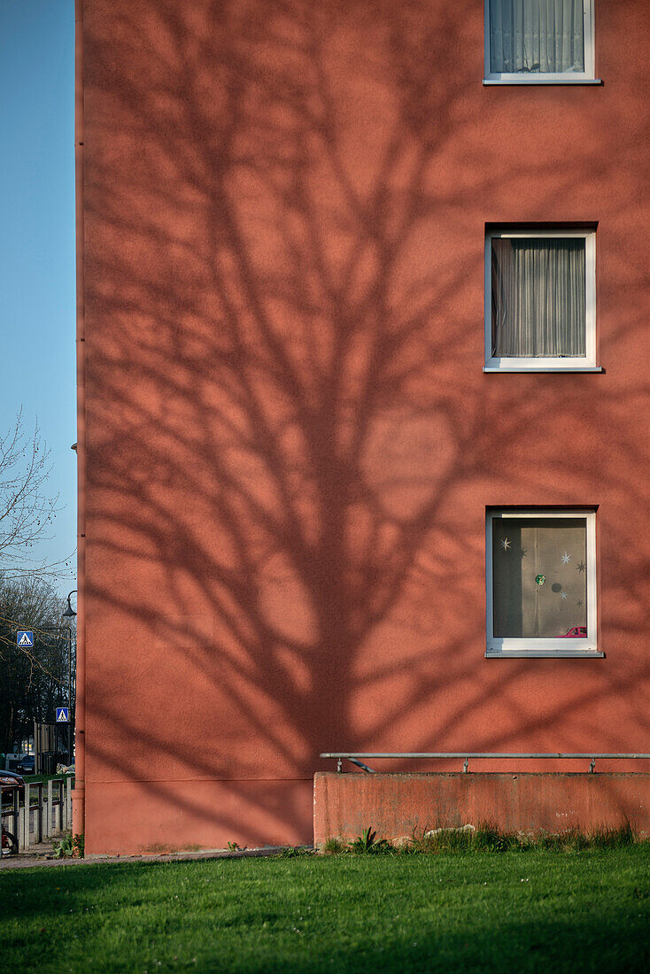 Schatten von blattlosem Baum auf roter Häuser Fassade, ehemalige Soldatensiedlung der Amerikaner, Neu-Ulm, Bayern, Deutschland