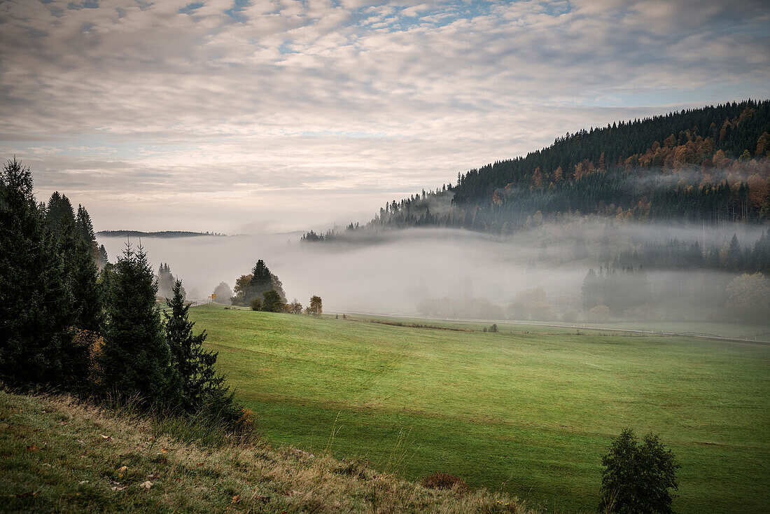 Nebelschwaden ziehen durch ein Tal bei Bernau im Schwarzwald, Baden-Württemberg, Deutschland
