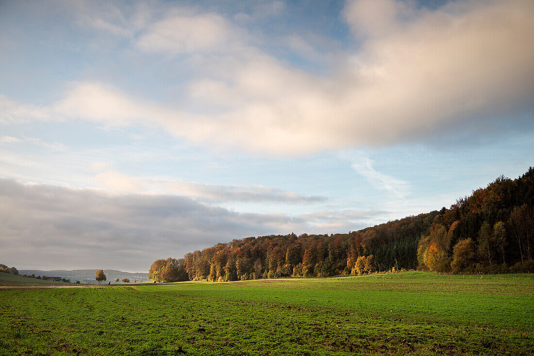 Autumn landscape near Lichtenstein castle, Swabian Alp, Baden-Wuerttemberg, Germany