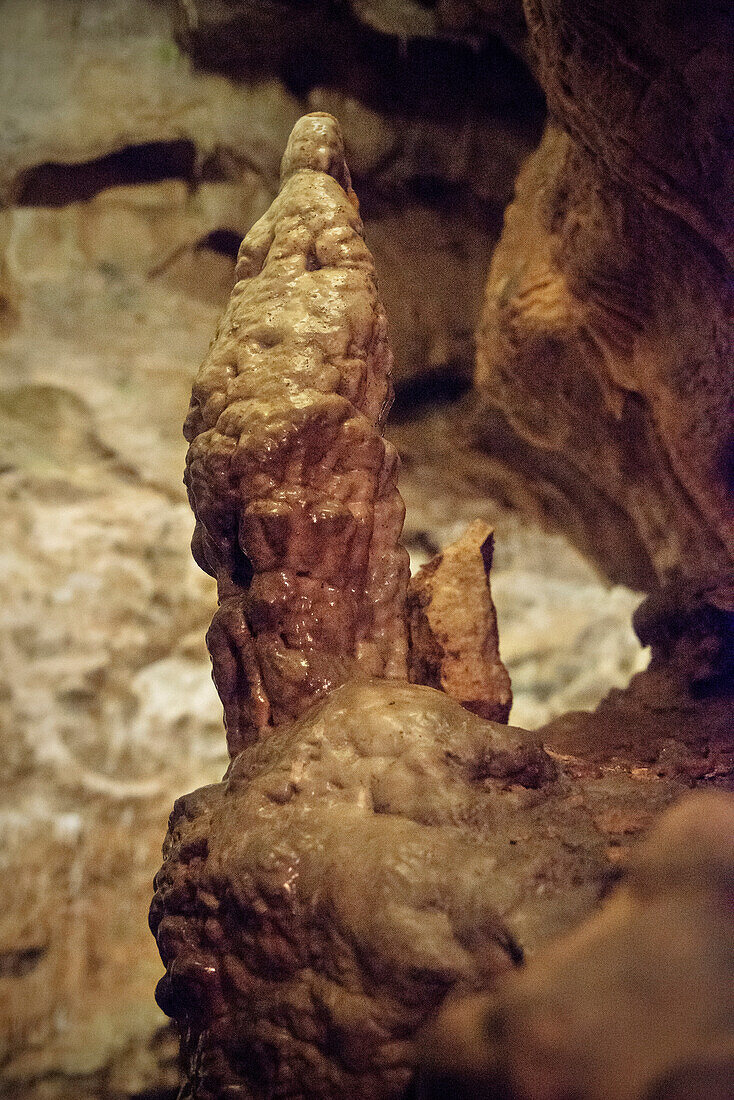 Giant Stalagmites and Stalactites in a dripstone cave, Karlshoehle and Baerenhoehle, Sonnenbuehl, Swabian Alp, Baden-Wuerttemberg, Germany