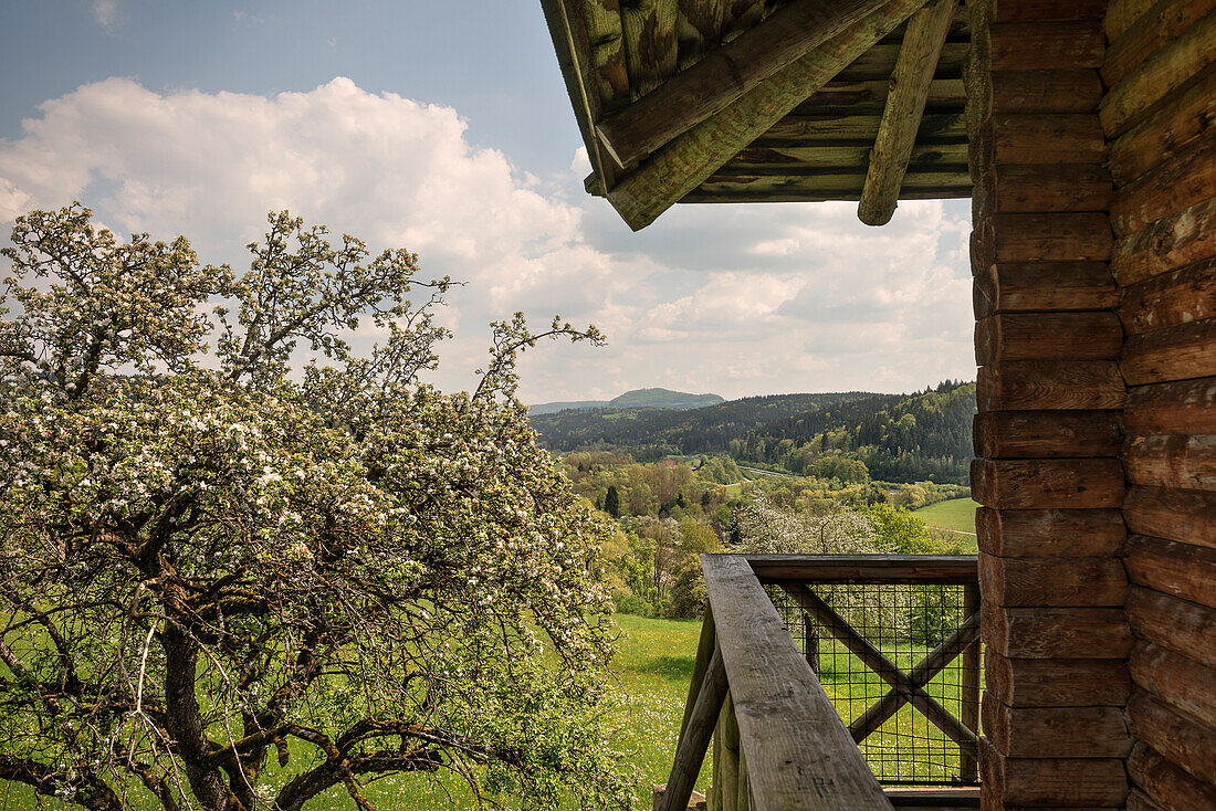 View from the reconstructed Roman watchtower at Limes located in a mixed fruit orchard, Lorch monastry, Swabian Alp, Baden-Wuerttemberg, Germany