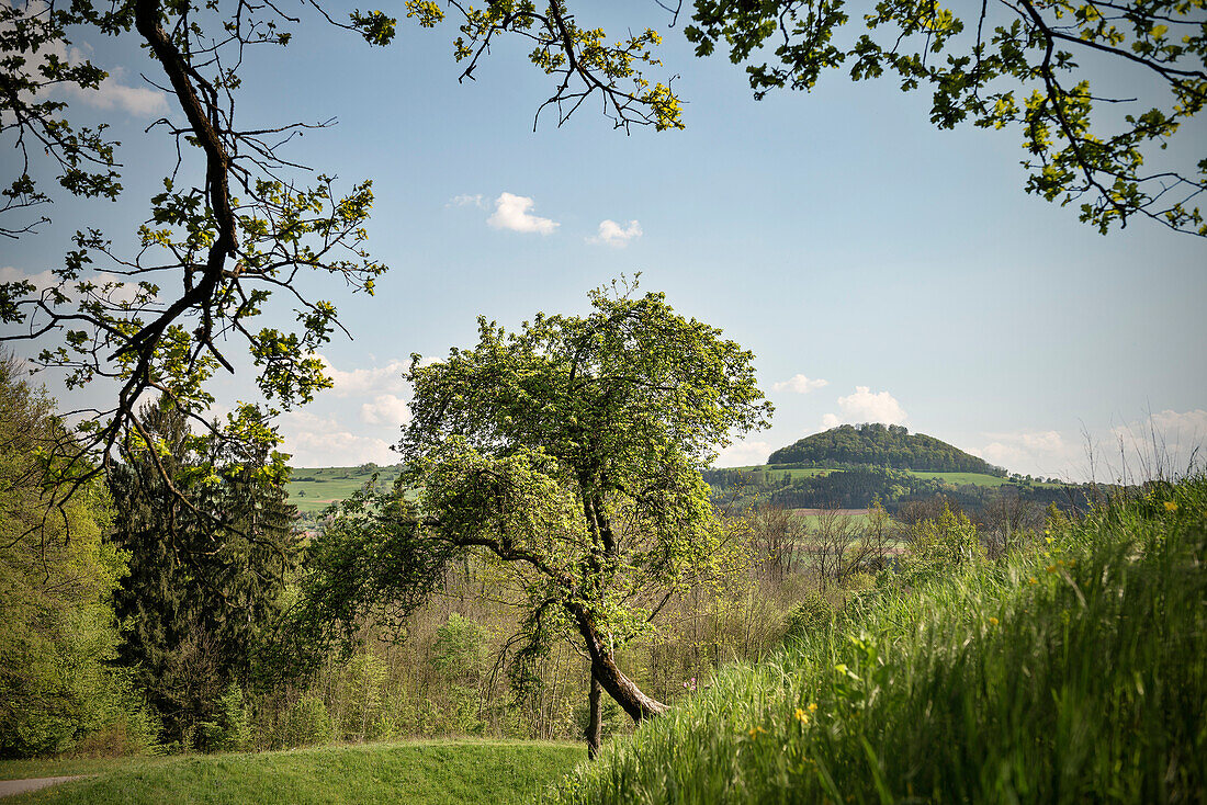 Blick auf Hohenstaufen Berg von Wäschenbeuren, Landkreis Göppingen, Schwäbische Alb, Baden-Württemberg, Deutschland