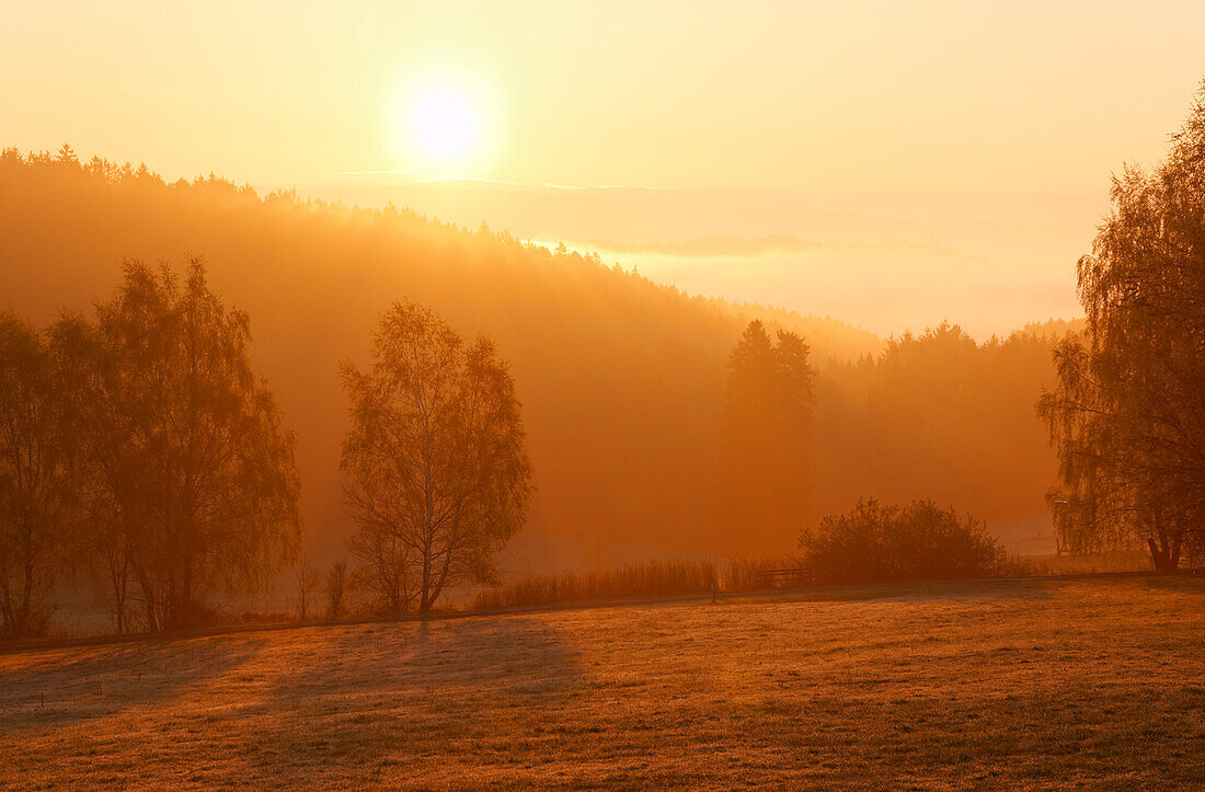 Nature Park Solling-Vogler, Dassel, Lower Saxony, Germany