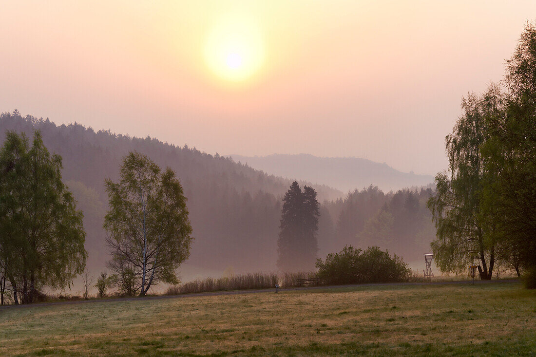 Naturpark Solling-Vogler, Dassel, Niedersachsen, Deutschland