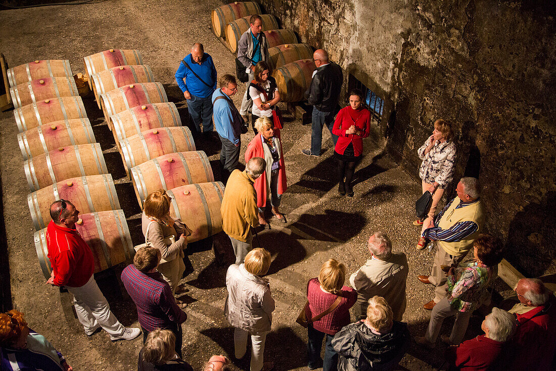 Tour group in the wine cellar of Chateau du Taillan winery, Le Taillan, Medoc, near Bordeaux, Gironde, Aquitane, France