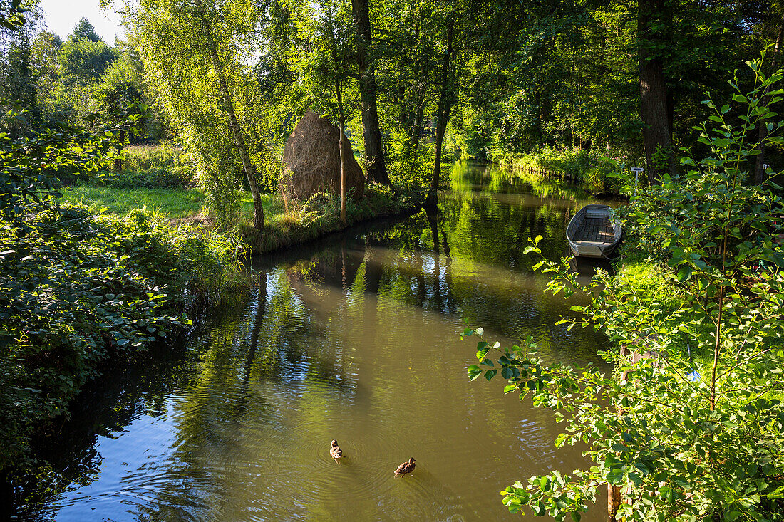 Fließ im Spreewald, UNESCO Biosphärenreservat, Brandenburg, Deutschland