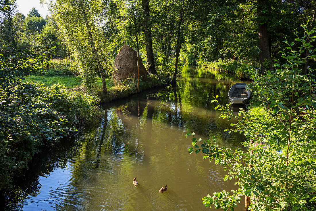 River in Spreewald, Spree, UNESCO biosphere reserve, Brandenburg, Germany, Europe