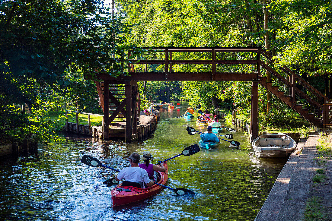 Kajaking on a river in Spreewald, UNESCO biosphere reserve, Brandenburg, Germany, Europe