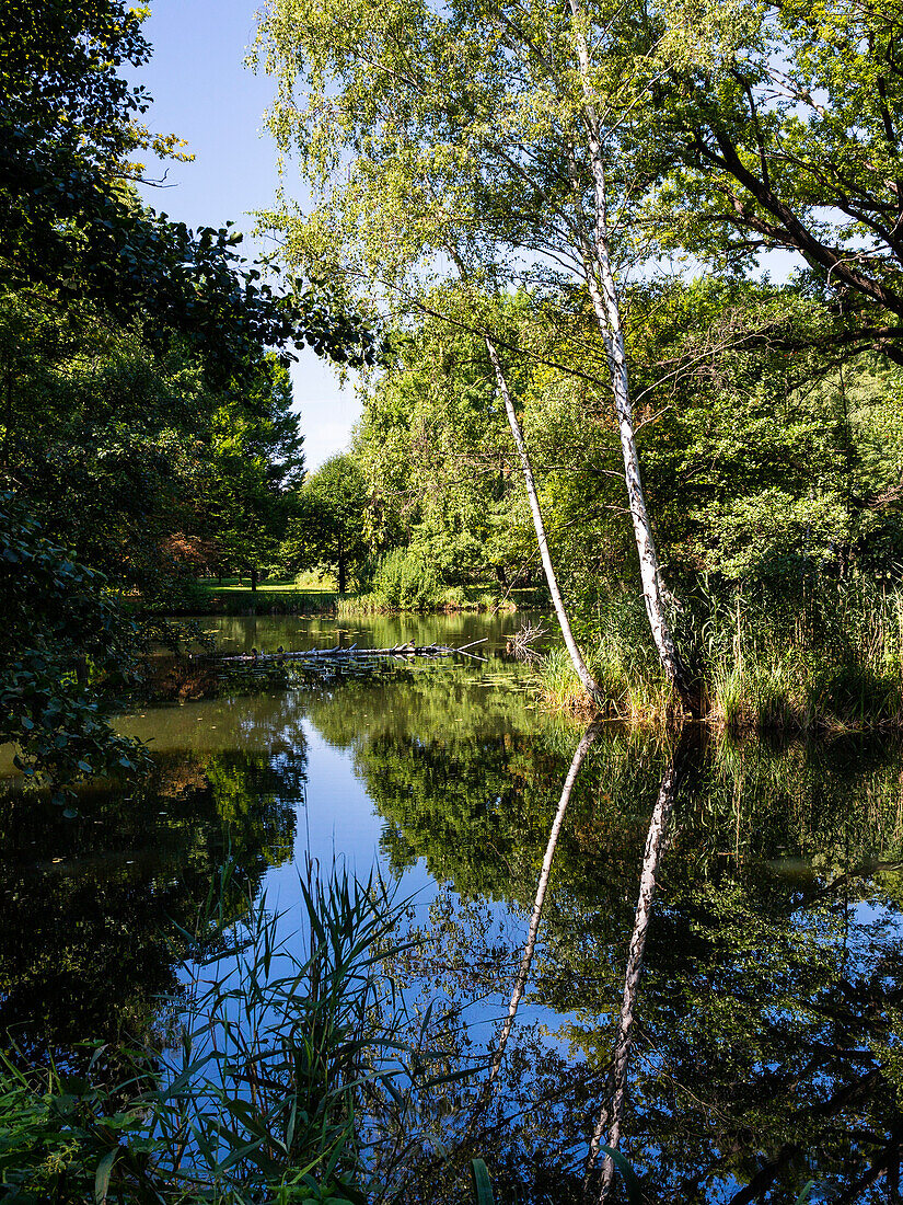 Fließ im Spreewald, UNESCO Biosphärenreservat, Brandenburg, Deutschland