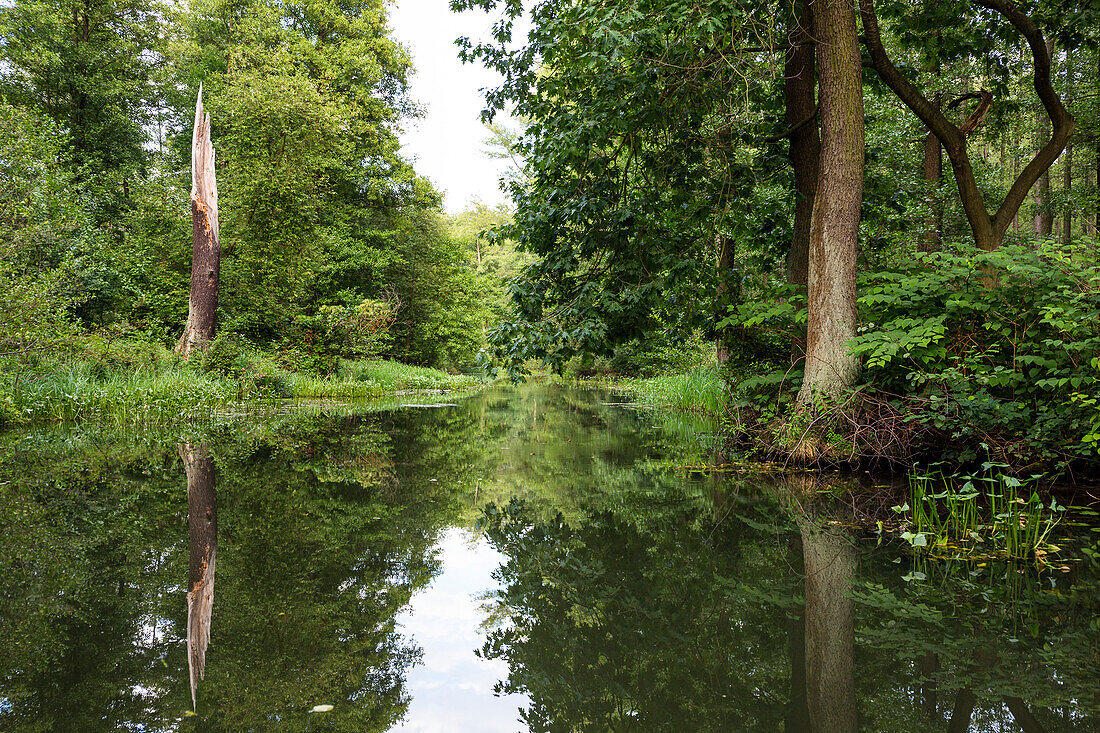 Fließ im Spreewald, UNESCO Biosphärenreservat, Lübbenau, Brandenburg, Deutschland