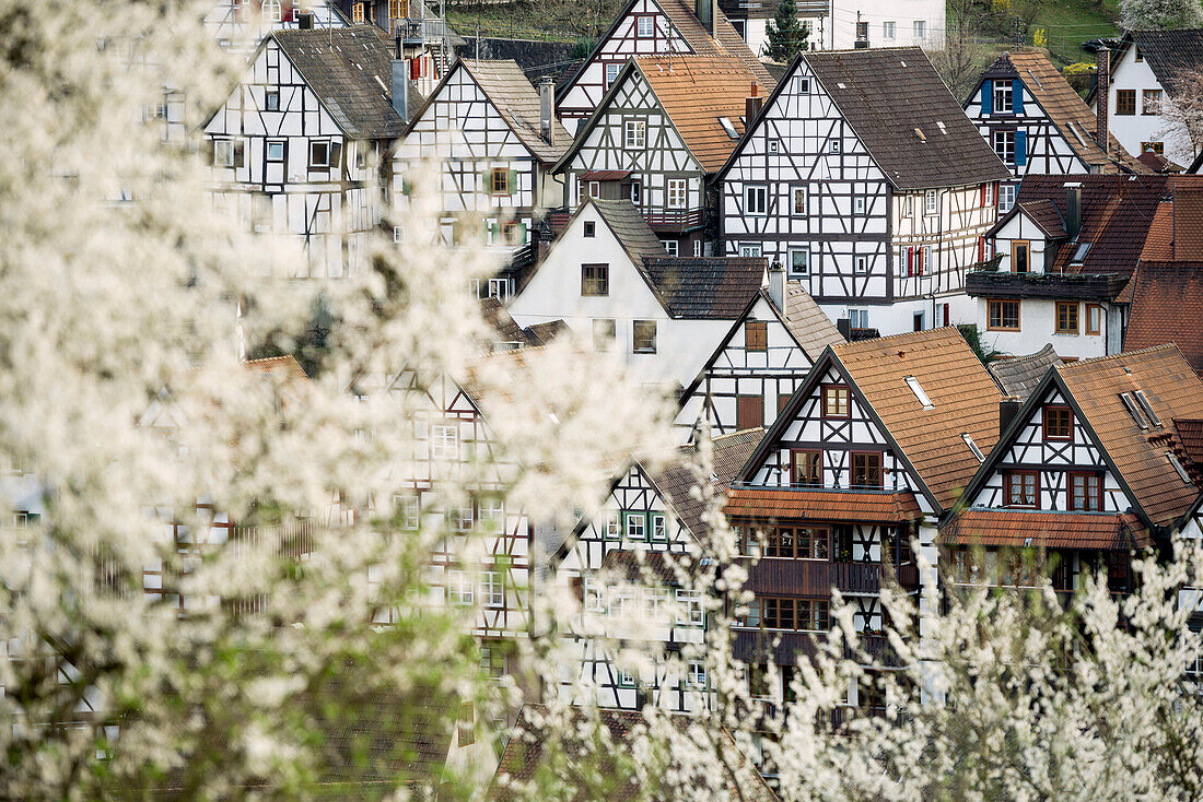 Fachwerkhäuser, Schiltach, Schwarzwald, Baden-Württemberg, Deutschland